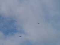  P1010071.JPG 