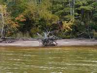  P1010090.JPG 