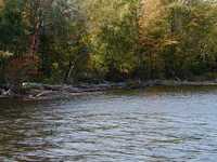  P1010102.JPG 