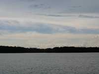  IMG_2428.JPG 