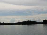  IMG_2429.JPG 