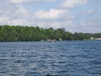  IMG_2435.JPG 