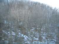  IMG_0481.JPG 