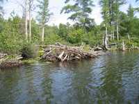  IMG_1220.JPG 