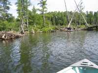  IMG_1222.JPG 