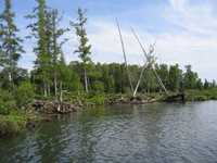  IMG_1226.JPG 