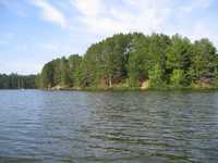  IMG_1231.JPG 