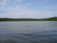  IMG_1233.JPG 