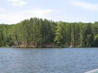  IMG_1235.JPG 