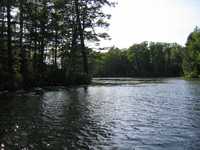  IMG_1239.JPG 
