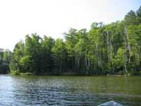  IMG_1240.JPG 