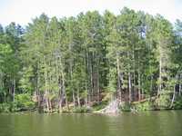  IMG_1241.JPG 