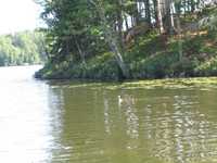  IMG_1244.JPG 