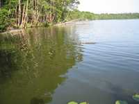  IMG_1248.JPG 