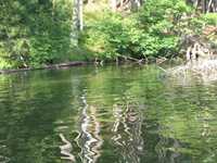  IMG_1249.JPG 