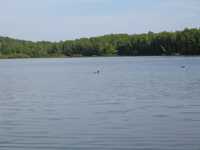  IMG_1250.JPG 