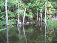  IMG_1251.JPG 
