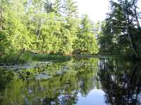  IMG_1252.JPG 