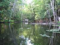  IMG_1254.JPG 