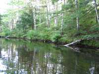  IMG_1255.JPG 