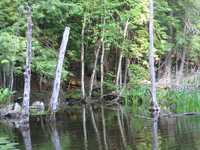  IMG_1260.JPG 