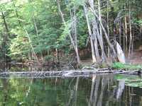  IMG_1261.JPG 