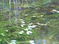  IMG_1262.JPG 