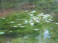  IMG_1263.JPG 