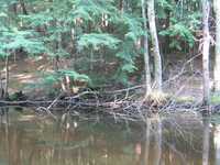  IMG_1265.JPG 