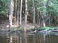  IMG_1267.JPG 