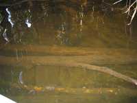  IMG_1270.JPG 