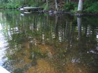  IMG_1276.JPG 
