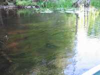  IMG_1277.JPG 