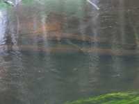  IMG_1284.JPG 