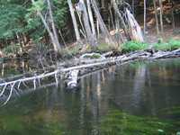  IMG_1286.JPG 