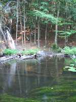  IMG_1289.JPG 