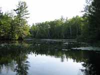  IMG_1312.JPG 