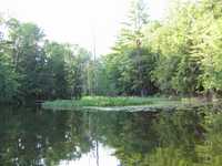  IMG_1319.JPG 