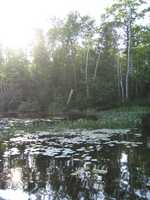  IMG_1326.JPG 