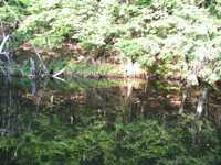  IMG_1328.JPG 