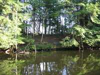  IMG_1335.JPG 