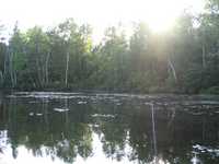  IMG_1339.JPG 