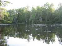  IMG_1340.JPG 