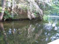  IMG_1341.JPG 
