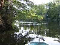  IMG_1342.JPG 