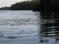  IMG_1343.JPG 