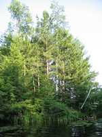  IMG_1348.JPG 