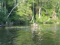  IMG_1350.JPG 