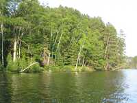  IMG_1351.JPG 
