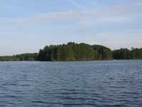  IMG_1354.JPG 